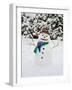 Snowman with Scarf and Hat in Winter Scene-null-Framed Photographic Print