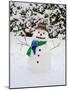 Snowman with Scarf and Hat in Winter Scene-null-Mounted Photographic Print