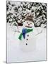 Snowman with Scarf and Hat in Winter Scene-null-Mounted Photographic Print