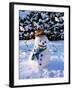 Snowman with Scarf and Hat in Winter Scene-null-Framed Photographic Print