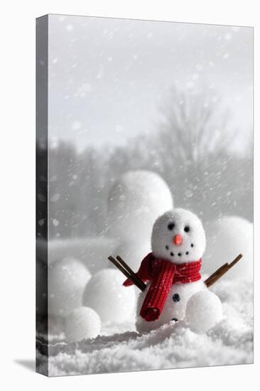 Snowman with Winter Snow Background-Sandralise-Stretched Canvas