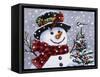 Snowman-William Vanderdasson-Framed Stretched Canvas