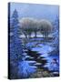 Snowman-Bonnie B. Cook-Stretched Canvas