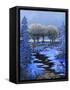 Snowman-Bonnie B. Cook-Framed Stretched Canvas