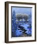 Snowman-Bonnie B. Cook-Framed Giclee Print