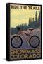 Snowmass, Colorado - Mountain Bike-Lantern Press-Framed Stretched Canvas