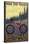 Snowmass, Colorado - Mountain Bike-Lantern Press-Stretched Canvas