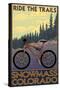 Snowmass, Colorado - Mountain Bike-Lantern Press-Stretched Canvas