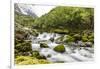 Snowmelt river running strongly in Briksdal Valley, Olden, Norway-Michael Nolan-Framed Photographic Print