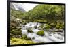 Snowmelt river running strongly in Briksdal Valley, Olden, Norway-Michael Nolan-Framed Photographic Print