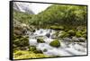 Snowmelt river running strongly in Briksdal Valley, Olden, Norway-Michael Nolan-Framed Stretched Canvas