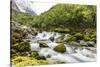 Snowmelt river running strongly in Briksdal Valley, Olden, Norway-Michael Nolan-Stretched Canvas