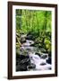 Snowmelt-Douglas Taylor-Framed Photographic Print