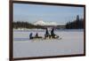 Snowmobile excursion on Lake Limingen Rorvik Norway Europe-ClickAlps-Framed Photographic Print