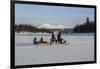 Snowmobile excursion on Lake Limingen Rorvik Norway Europe-ClickAlps-Framed Photographic Print