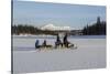 Snowmobile excursion on Lake Limingen Rorvik Norway Europe-ClickAlps-Stretched Canvas