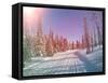 Snowmobile Trail in Labrador Canada-melking-Framed Stretched Canvas