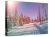 Snowmobile Trail in Labrador Canada-melking-Stretched Canvas