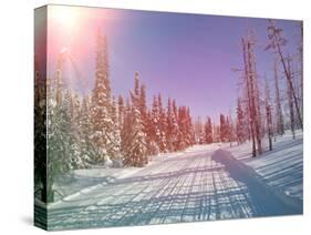 Snowmobile Trail in Labrador Canada-melking-Stretched Canvas