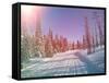 Snowmobile Trail in Labrador Canada-melking-Framed Stretched Canvas