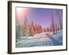 Snowmobile Trail in Labrador Canada-melking-Framed Photographic Print