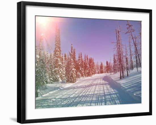 Snowmobile Trail in Labrador Canada-melking-Framed Photographic Print