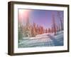 Snowmobile Trail in Labrador Canada-melking-Framed Photographic Print