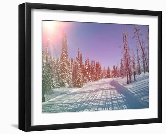 Snowmobile Trail in Labrador Canada-melking-Framed Photographic Print