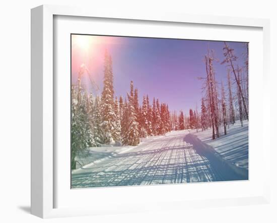 Snowmobile Trail in Labrador Canada-melking-Framed Photographic Print