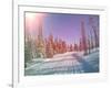 Snowmobile Trail in Labrador Canada-melking-Framed Photographic Print