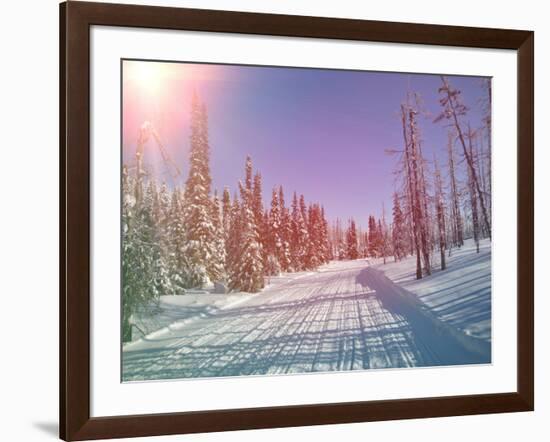 Snowmobile Trail in Labrador Canada-melking-Framed Photographic Print