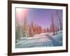 Snowmobile Trail in Labrador Canada-melking-Framed Photographic Print