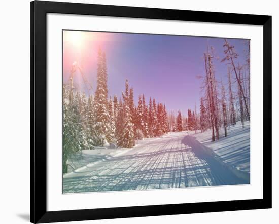 Snowmobile Trail in Labrador Canada-melking-Framed Photographic Print