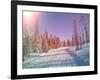 Snowmobile Trail in Labrador Canada-melking-Framed Photographic Print