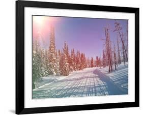 Snowmobile Trail in Labrador Canada-melking-Framed Photographic Print