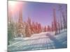 Snowmobile Trail in Labrador Canada-melking-Mounted Photographic Print