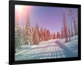 Snowmobile Trail in Labrador Canada-melking-Framed Photographic Print