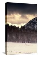 Snowmobiler Riding At Sunset In The Mountains-Lindsay Daniels-Stretched Canvas