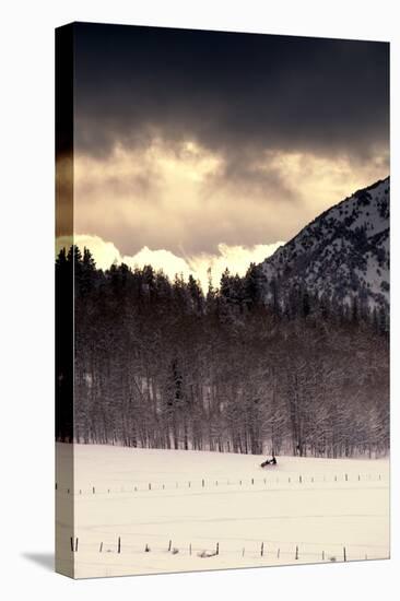 Snowmobiler Riding At Sunset In The Mountains-Lindsay Daniels-Stretched Canvas