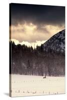 Snowmobiler Riding At Sunset In The Mountains-Lindsay Daniels-Stretched Canvas