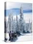 Snowmobilers in a Hoar Frosted Forest on Two Top Mountain, West Yellowstone, Montana, United States-Kimberly Walker-Stretched Canvas