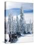 Snowmobilers in a Hoar Frosted Forest on Two Top Mountain, West Yellowstone, Montana, United States-Kimberly Walker-Stretched Canvas