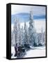 Snowmobilers in a Hoar Frosted Forest on Two Top Mountain, West Yellowstone, Montana, United States-Kimberly Walker-Framed Stretched Canvas