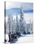 Snowmobilers in a Hoar Frosted Forest on Two Top Mountain, West Yellowstone, Montana, United States-Kimberly Walker-Stretched Canvas