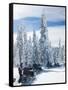 Snowmobilers in a Hoar Frosted Forest on Two Top Mountain, West Yellowstone, Montana, United States-Kimberly Walker-Framed Stretched Canvas