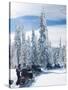 Snowmobilers in a Hoar Frosted Forest on Two Top Mountain, West Yellowstone, Montana, United States-Kimberly Walker-Stretched Canvas