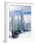 Snowmobilers in a Hoar Frosted Forest on Two Top Mountain, West Yellowstone, Montana, United States-Kimberly Walker-Framed Photographic Print