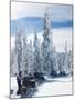 Snowmobilers in a Hoar Frosted Forest on Two Top Mountain, West Yellowstone, Montana, United States-Kimberly Walker-Mounted Photographic Print