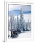 Snowmobilers in a Hoar Frosted Forest on Two Top Mountain, West Yellowstone, Montana, United States-Kimberly Walker-Framed Photographic Print