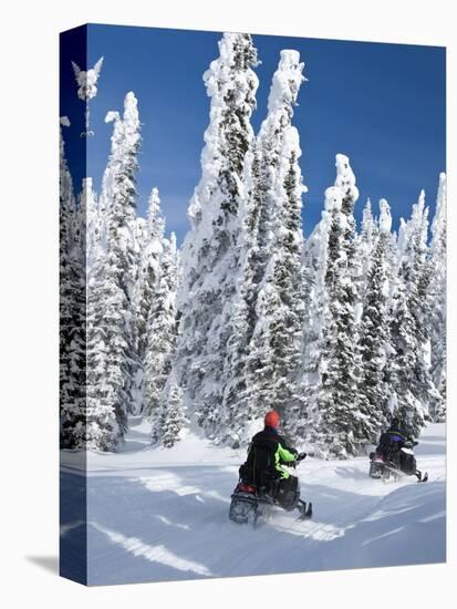 Snowmobilers Riding Through a Forest of Hoar Frosted Trees on Two Top Mountain, West Yellowstone, M-Kimberly Walker-Stretched Canvas